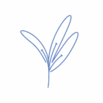 sigle papetiere fleur lavande